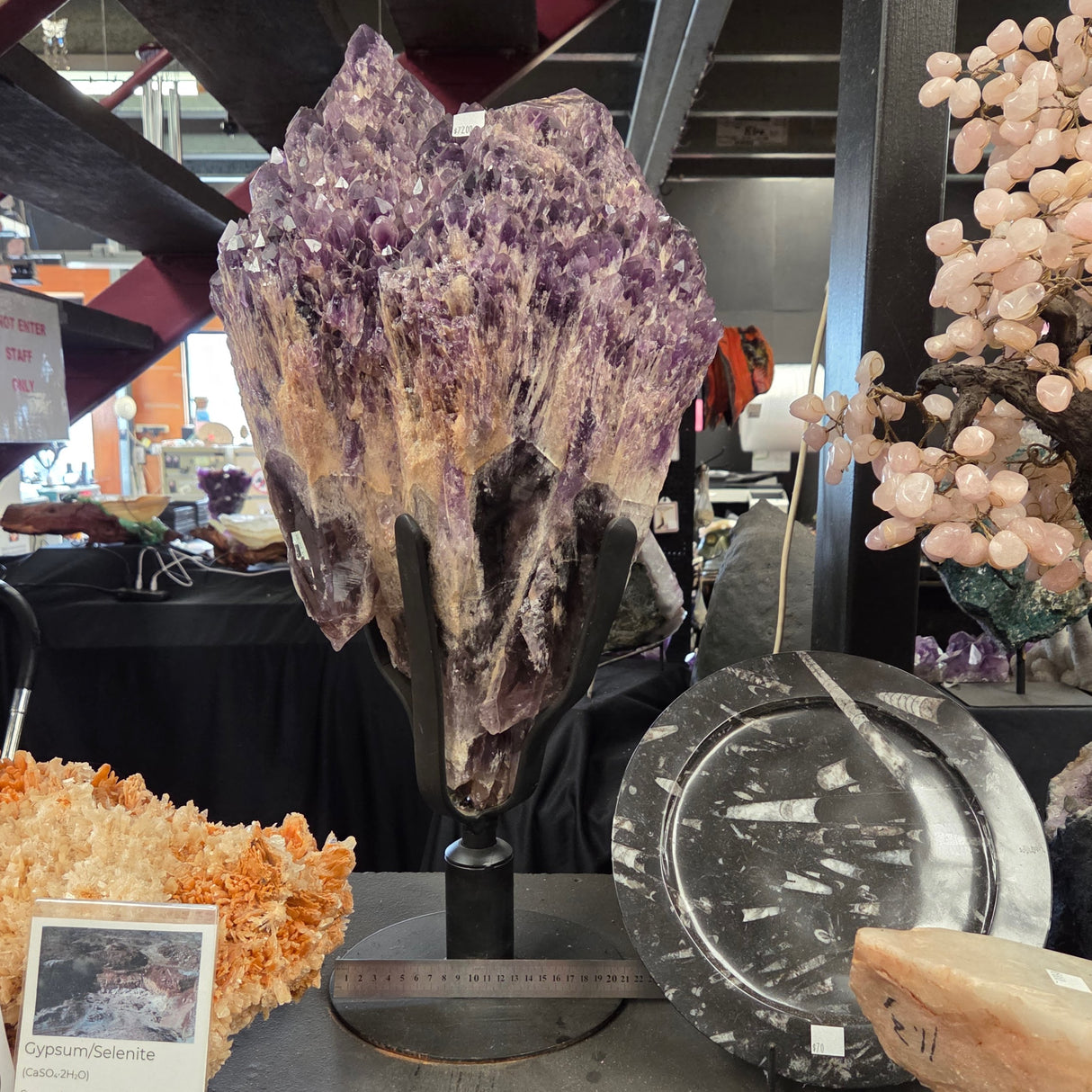 DRAGON TOOTH AMETHYST POINT ON STAND Brazil RBDTAS
