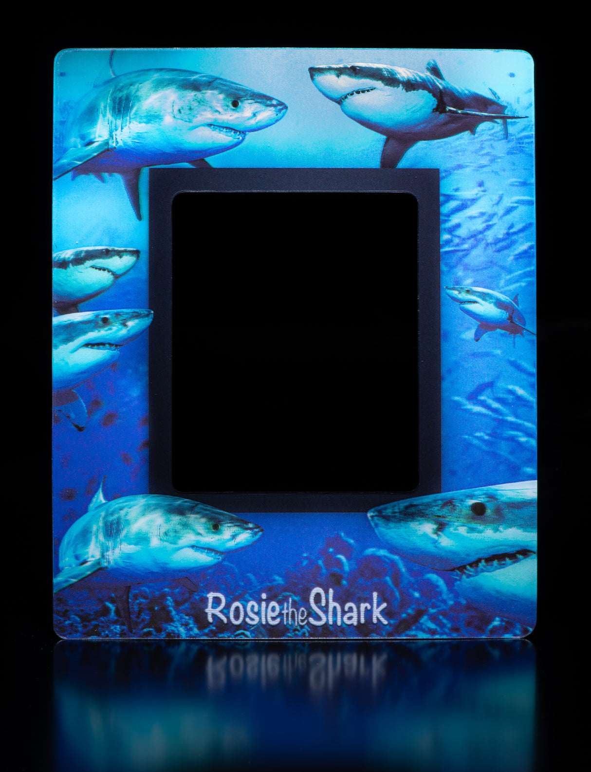 Rosie the Shark | Fridge Magnet 3D Picture Frame