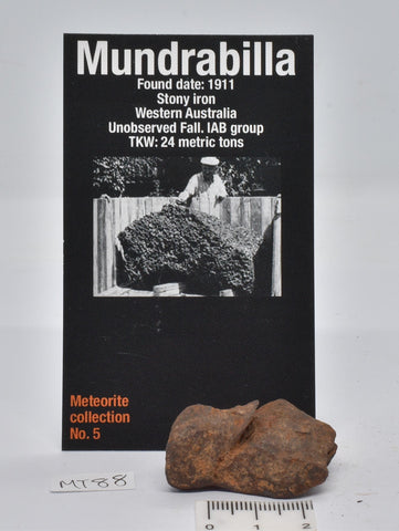 MUNDRABILLA IRON METEORITE 36 GRAMS MT88