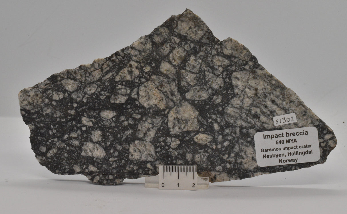 Impact Breccia (540mya) Gardmos Impact Crater, Nesbyen, Norway (S1302)