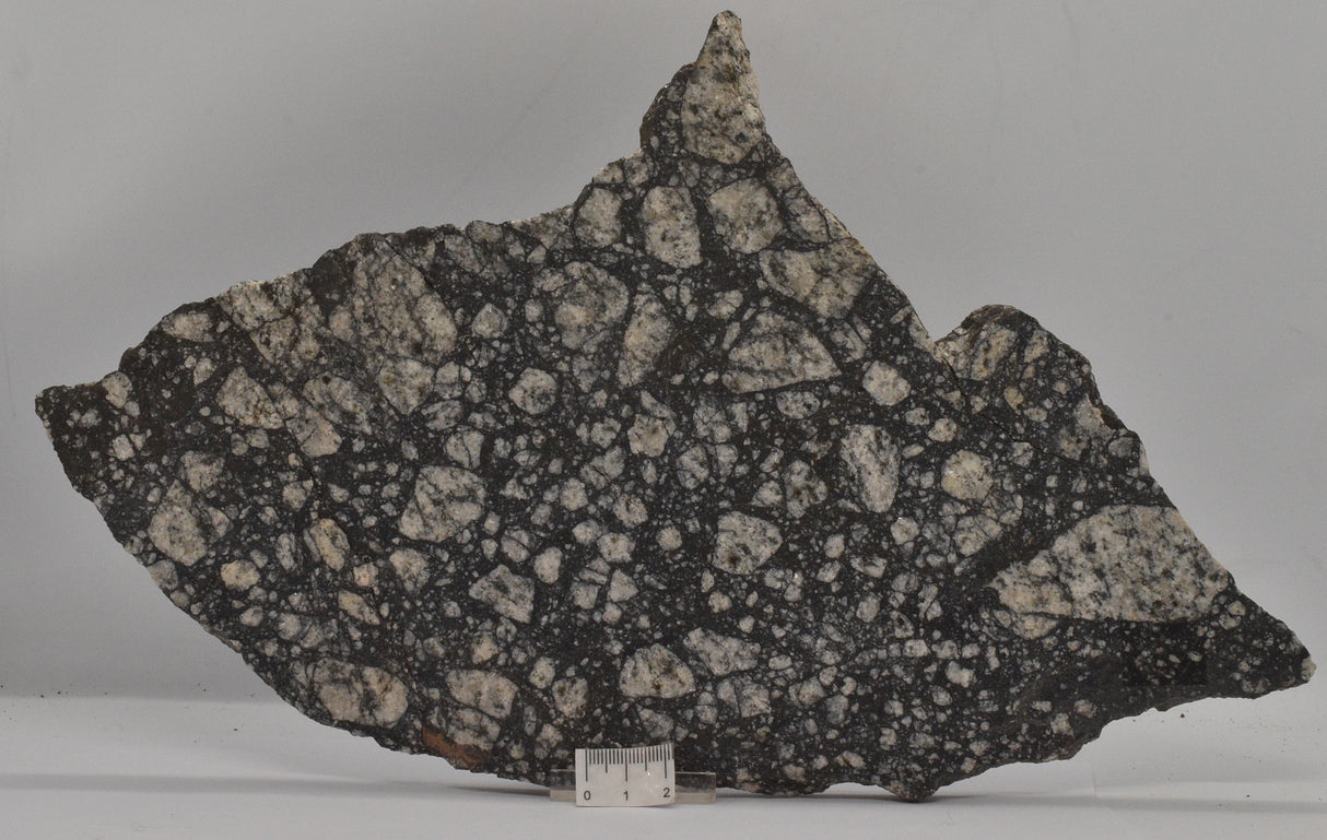 Impact Breccia (540mya) Gardmos Impact Crater, Nesbyen, Norway (S1304)