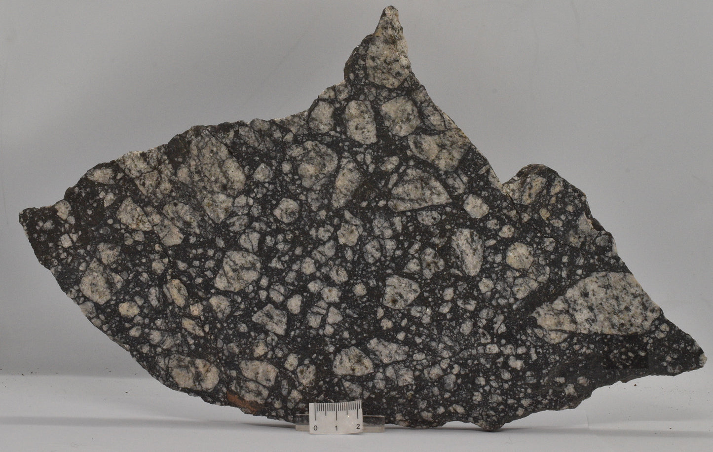 Impact Breccia (540mya) Gardmos Impact Crater, Nesbyen, Norway (S1304)