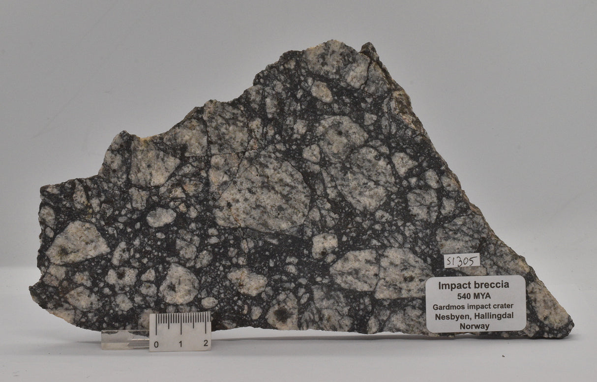Impact Breccia (540mya) Gardmos Impact Crater, Nesbyen, Norway (S1305)