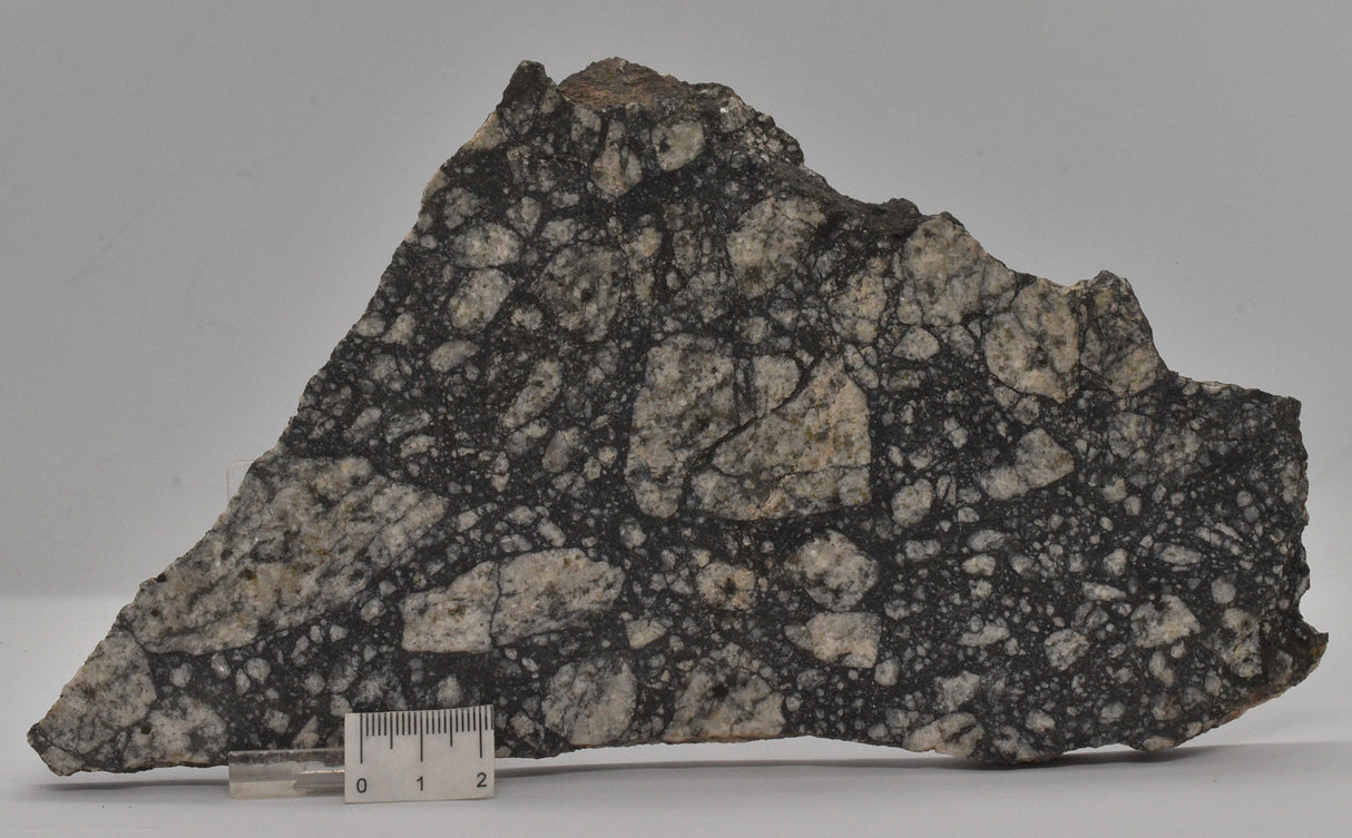 Impact Breccia (540mya) Gardmos Impact Crater, Nesbyen, Norway (S1305)