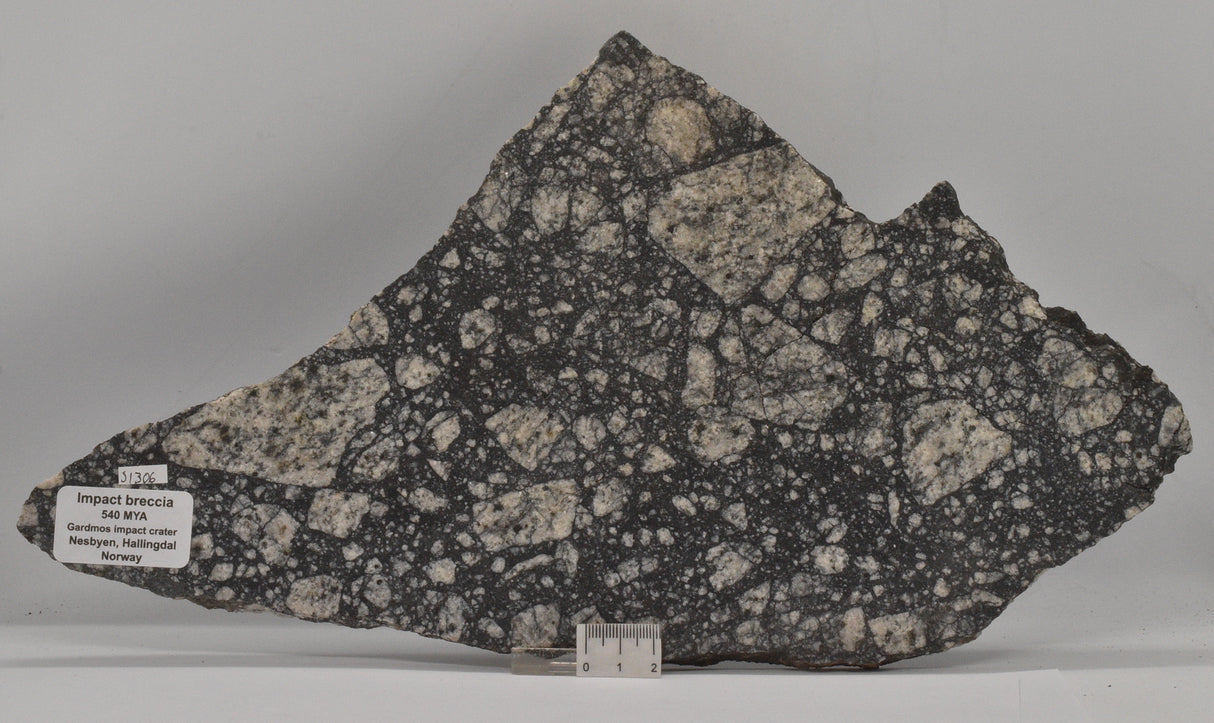 Impact Breccia (540mya) Gardmos Impact Crater, Nesbyen, Norway (S1306)
