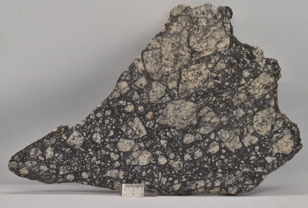 Impact Breccia (540mya) Gardmos Impact Crater, Nesbyen, Norway (S1309)