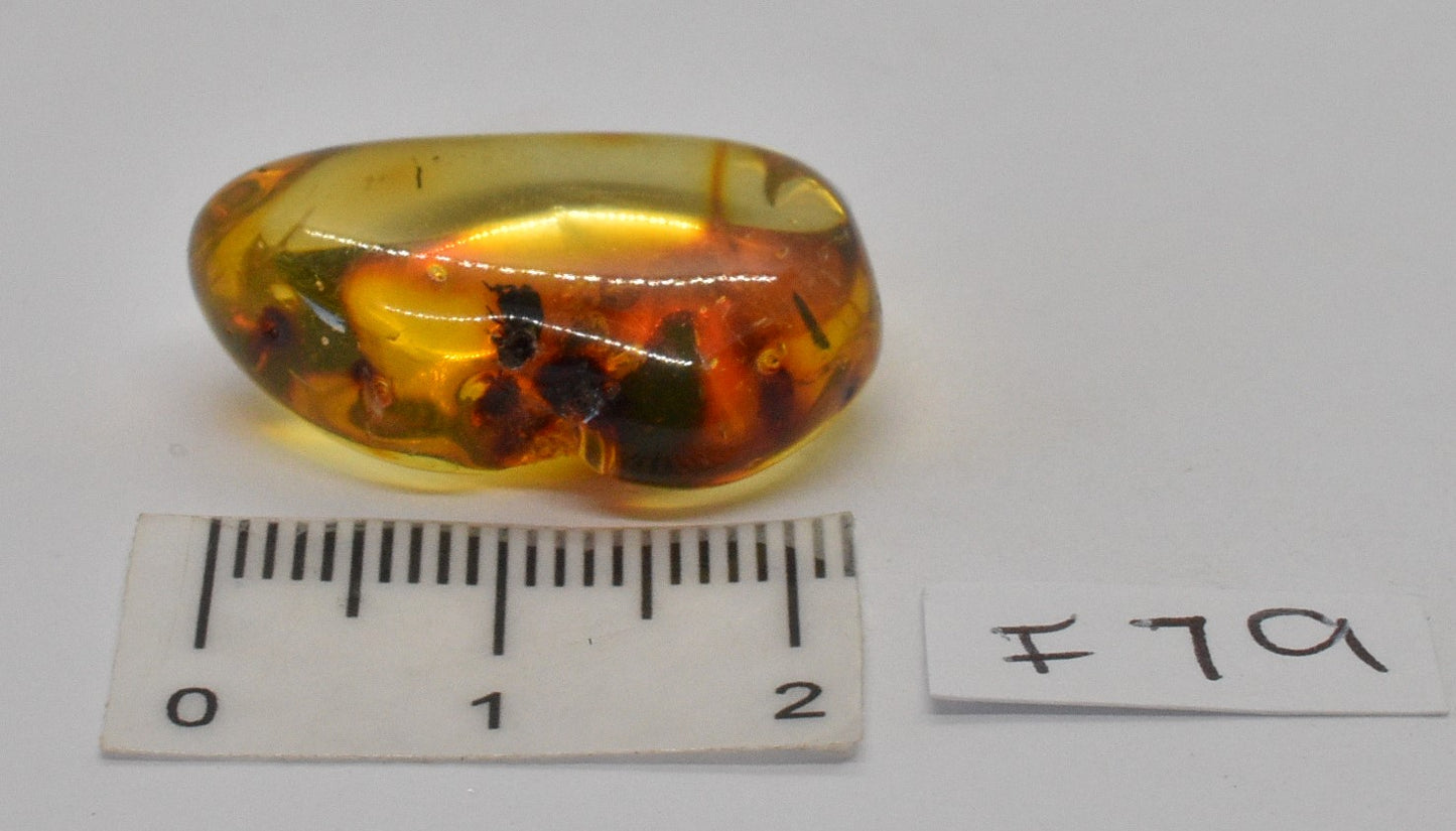 Amber with fossil insects in natural form F79