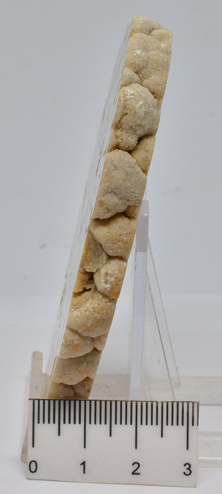 Cave Microbialite, Pleistocene, Guilin, China S690