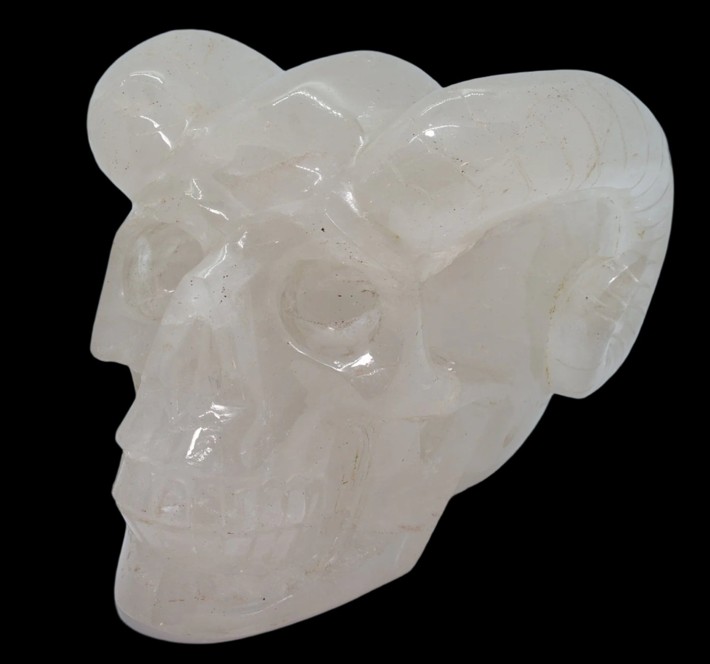 CARVED QUARTZ SKULL WITH RAM HORNS P458
