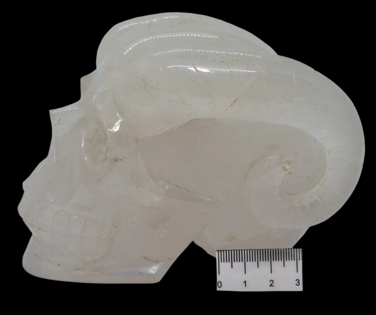 CARVED QUARTZ SKULL WITH RAM HORNS P458