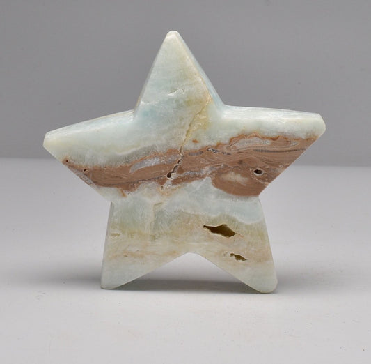 CARIBBEAN CALCITE STAR CARVING P287