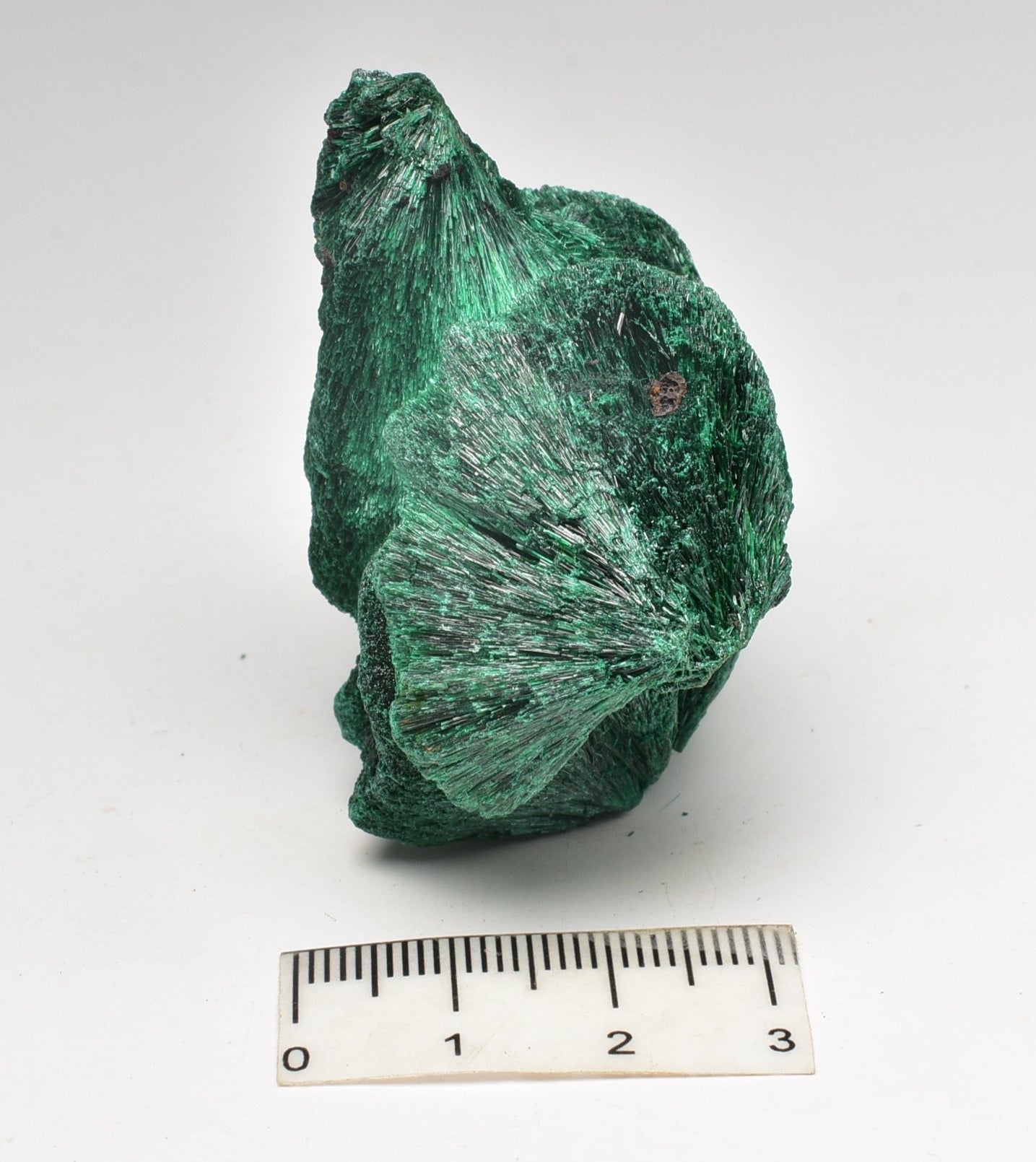 VELVET MALACHITE, CONGO, ROUGH FORM P293