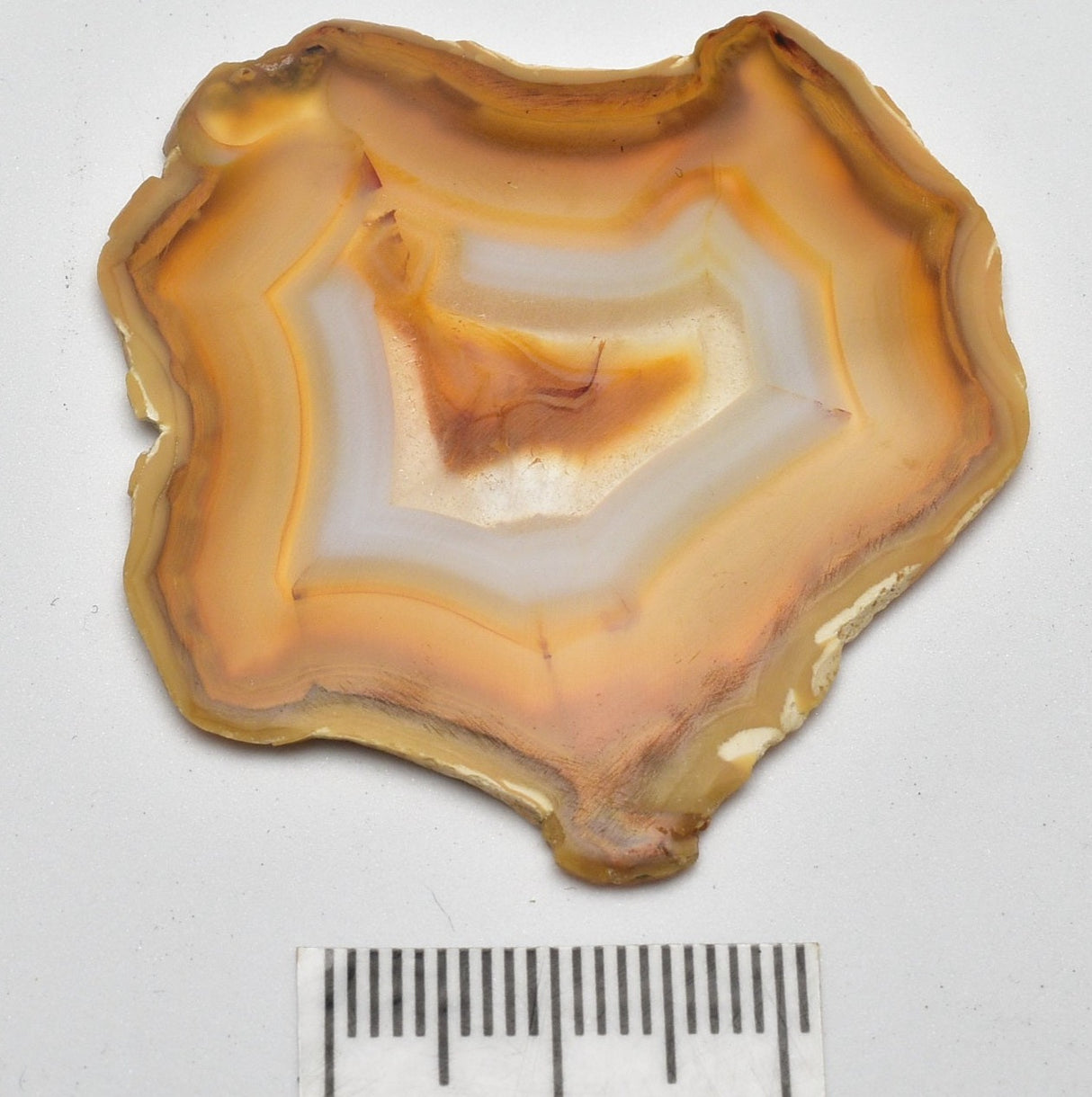 IRIS AGATE SLICE P796