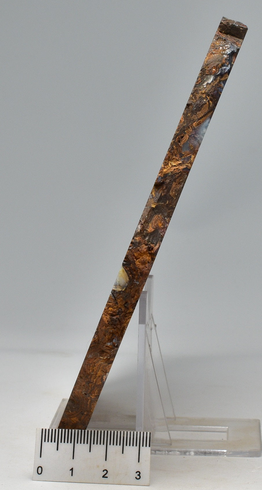 OPALISED FOREST FLOOR Polished, Koroit, Queensland, Australia S205