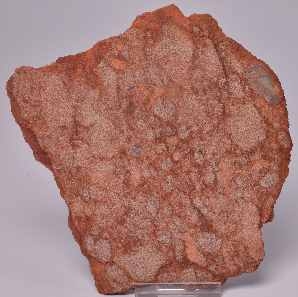 ZIRCON, Metaconglomerate Narryer Gneiss Slice, Jack Hills, Australia S Crystal World