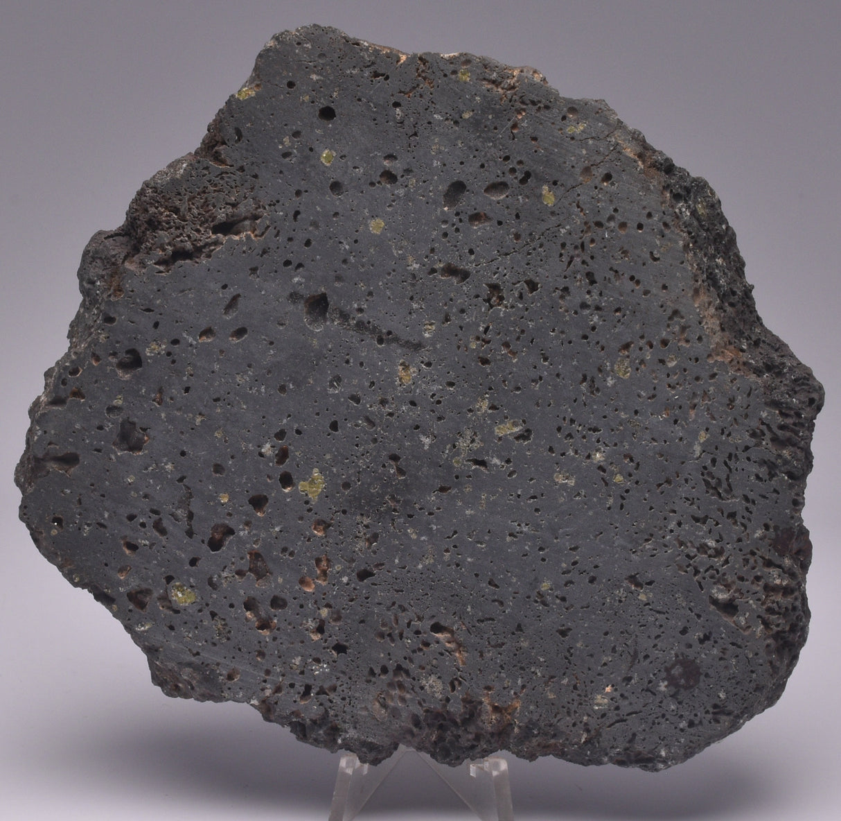 OLIVINE BASALT SLICE, KILAUEA VOLCANO, HAWAII S176