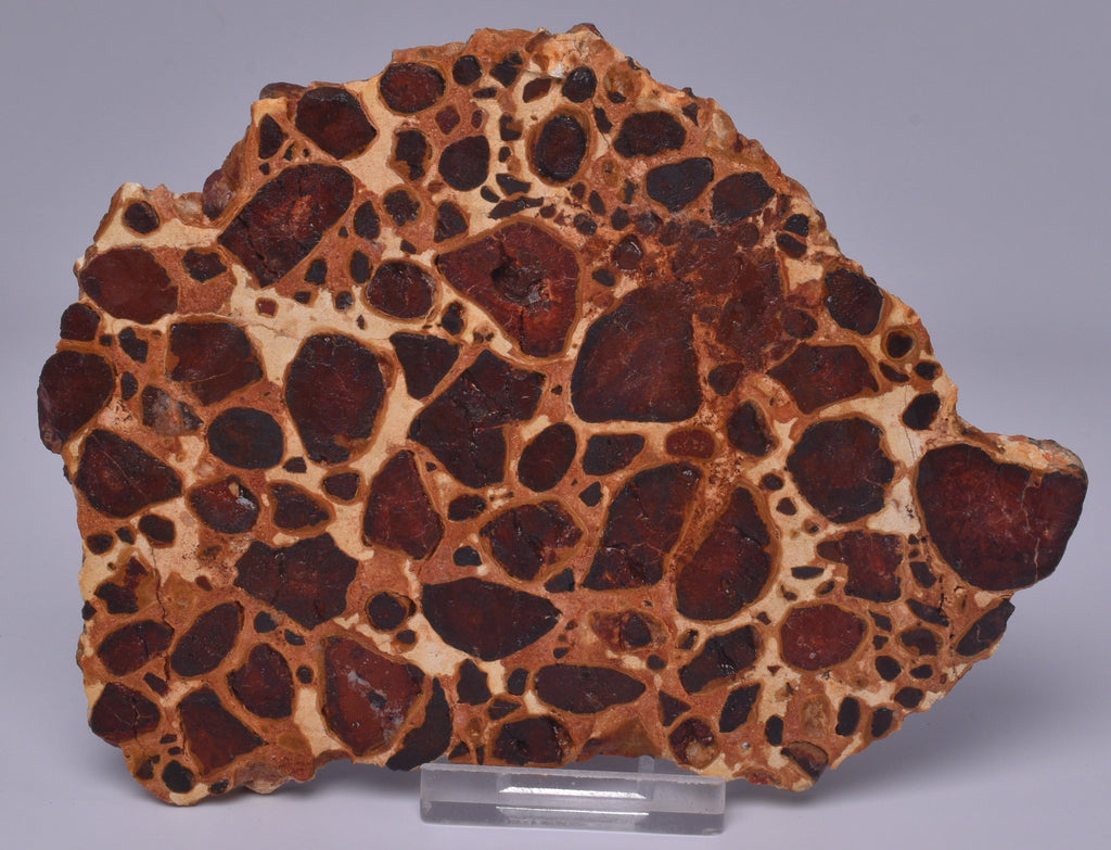 BAUXITE, Aluminium Hydroxide, Polished Slice, Kalgoorlie WA S199