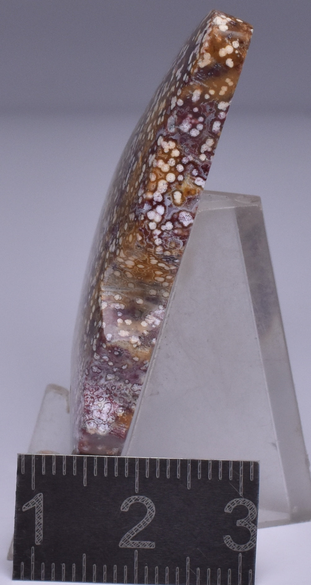 RIVER JASPER BUTTERFLY CARVING P748