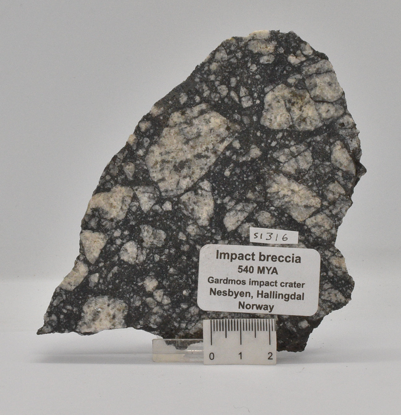 Impact Breccia (540mya) Gardmos Impact Crater, Nesbyen, Norway S1316