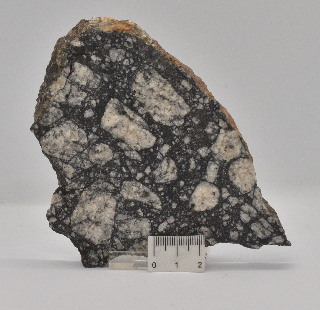 Impact Breccia (540mya) Gardmos Impact Crater, Nesbyen, Norway S1316