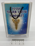 SHARK FOSSIL TOOTH GIFT PACK P800