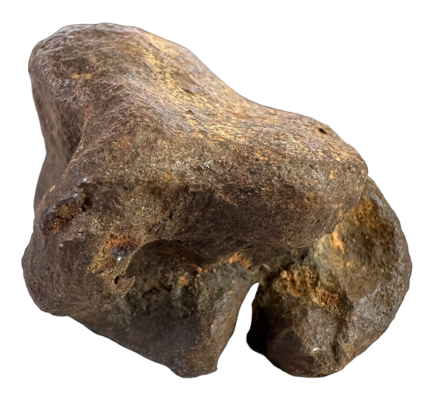 MUNDRABILLA IRON METEORITE with HOLE, VERY RARE, STONY IRON, AUSTRALIA MT64