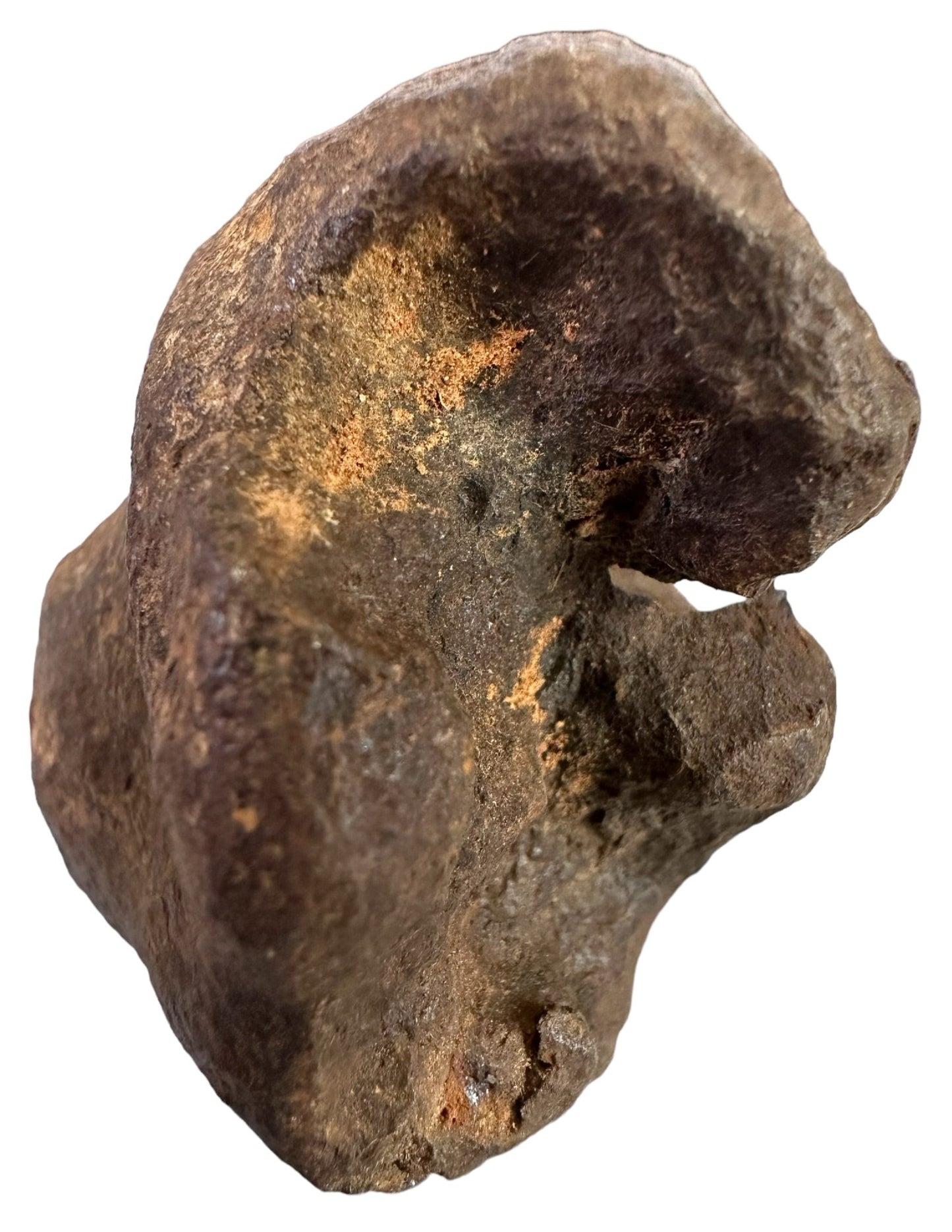 MUNDRABILLA IRON METEORITE with HOLE, VERY RARE, STONY IRON, AUSTRALIA MT64