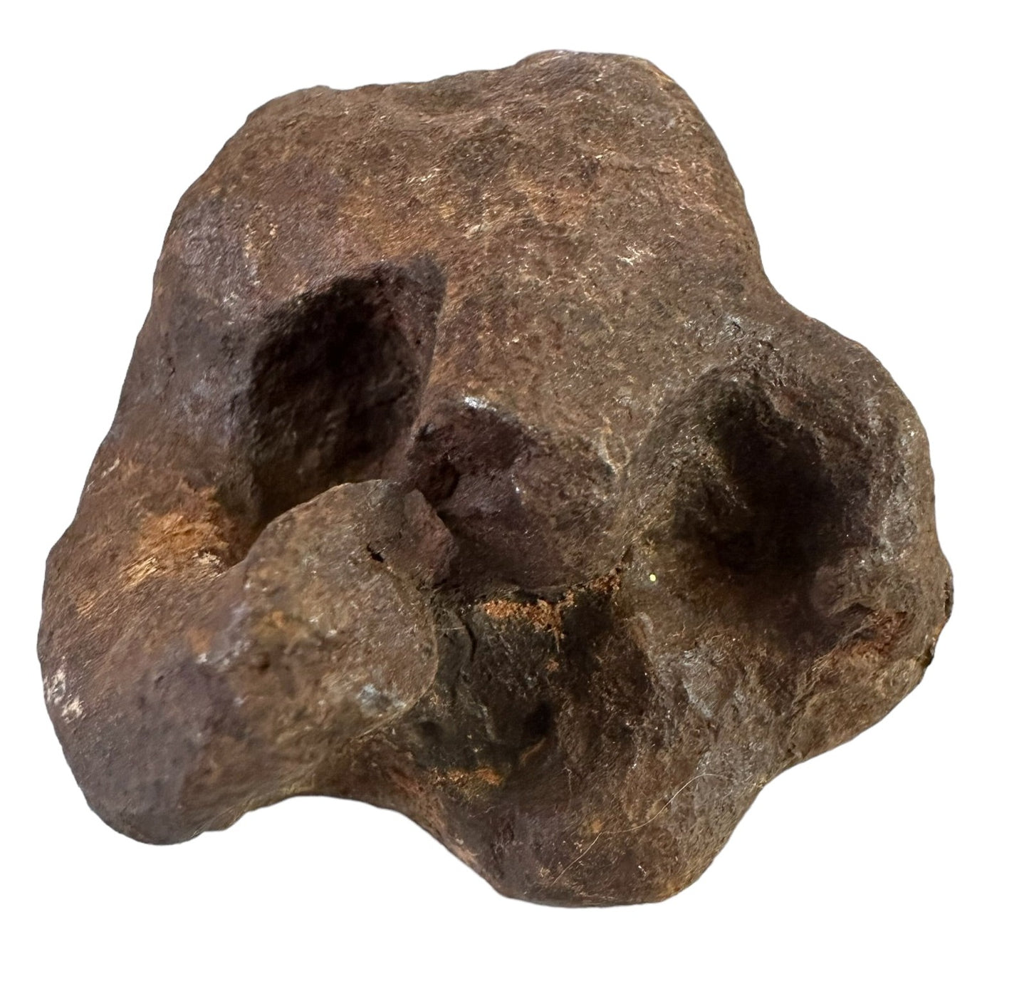 MUNDRABILLA IRON METEORITE with HOLE, VERY RARE, STONY IRON, AUSTRALIA MT64