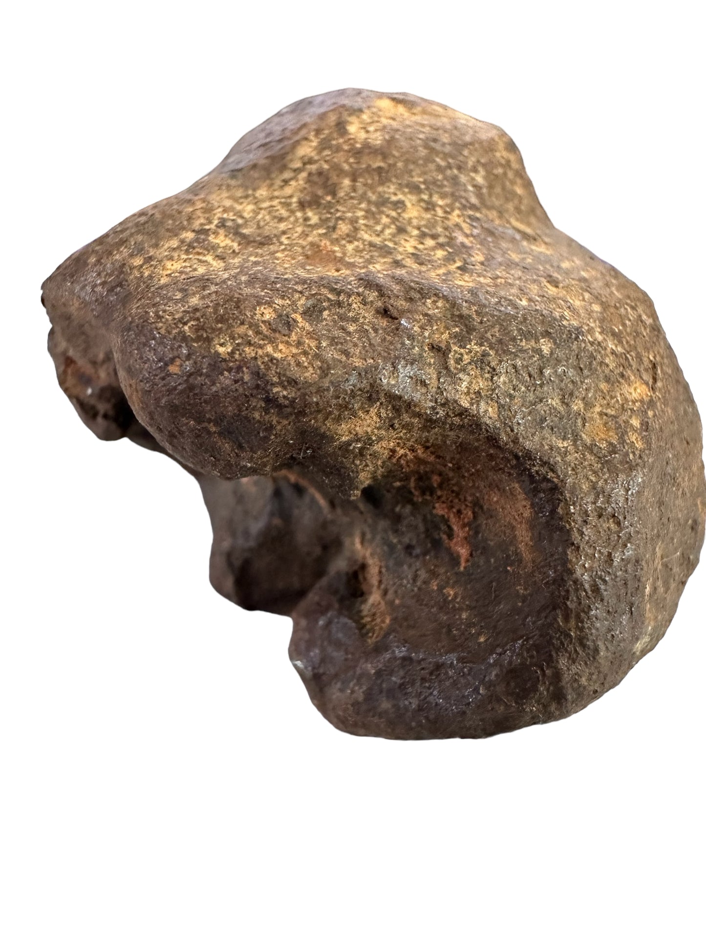 MUNDRABILLA IRON METEORITE with HOLE, VERY RARE, STONY IRON, AUSTRALIA MT64