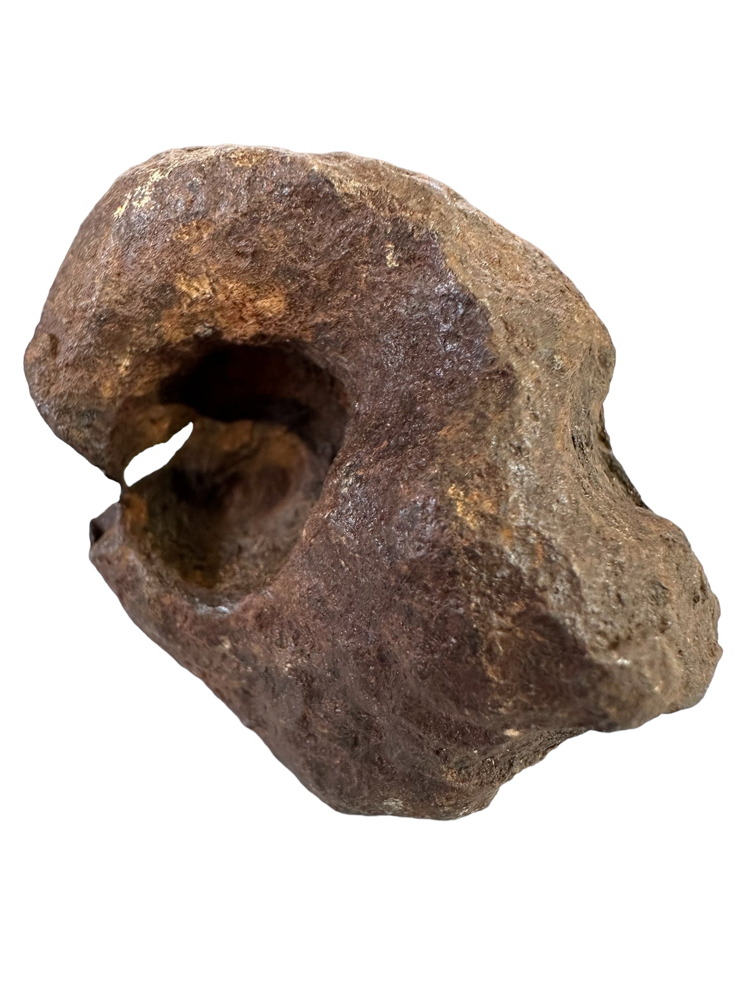 MUNDRABILLA IRON METEORITE with HOLE, VERY RARE, STONY IRON, AUSTRALIA MT64