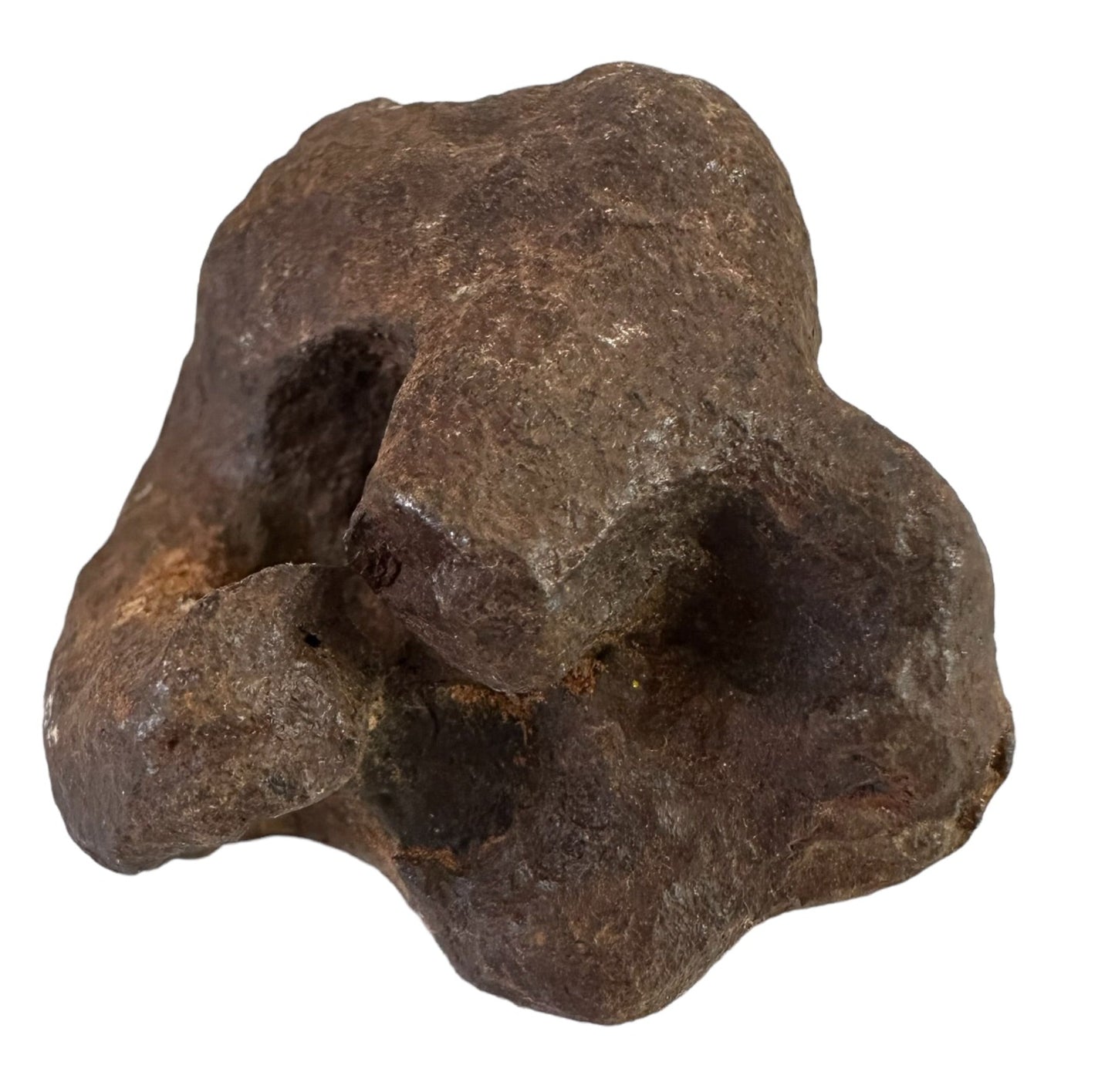 MUNDRABILLA IRON METEORITE with HOLE, VERY RARE, STONY IRON, AUSTRALIA MT64