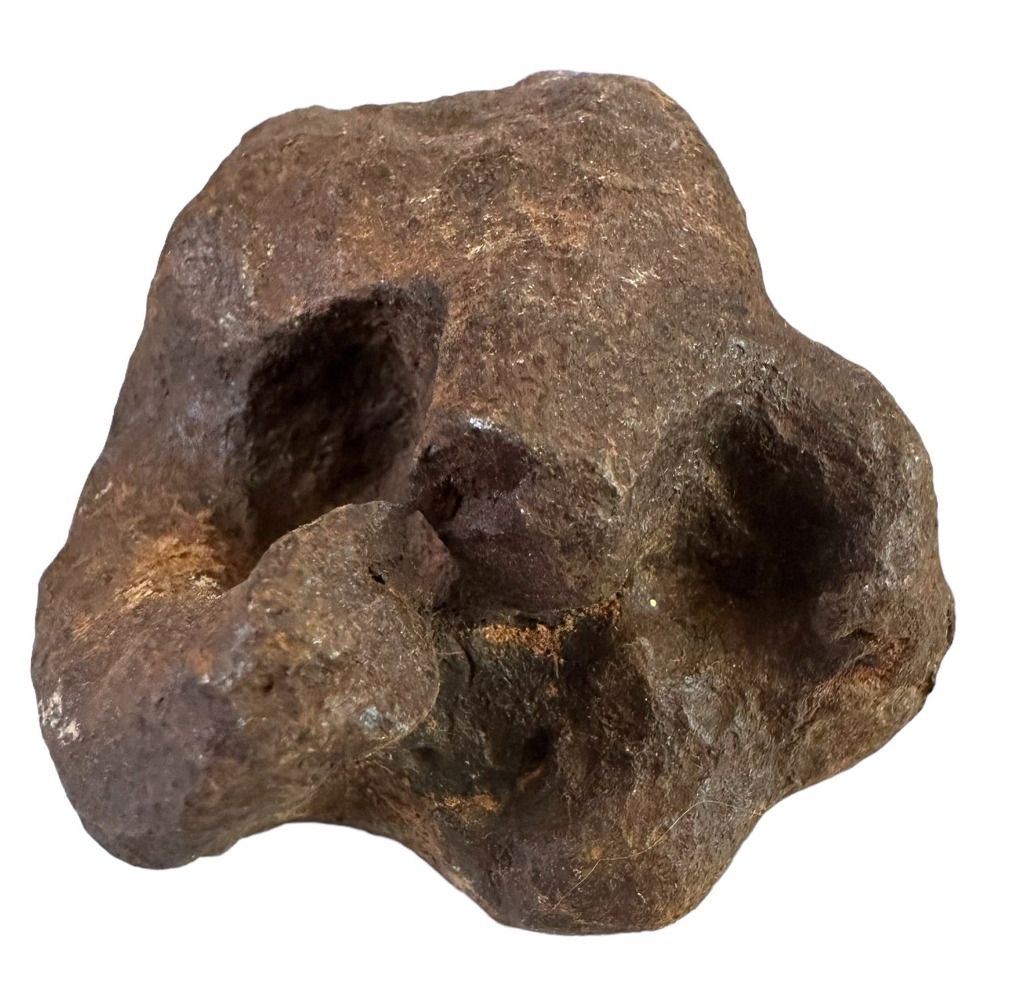 MUNDRABILLA IRON METEORITE with HOLE, VERY RARE, STONY IRON, AUSTRALIA MT64