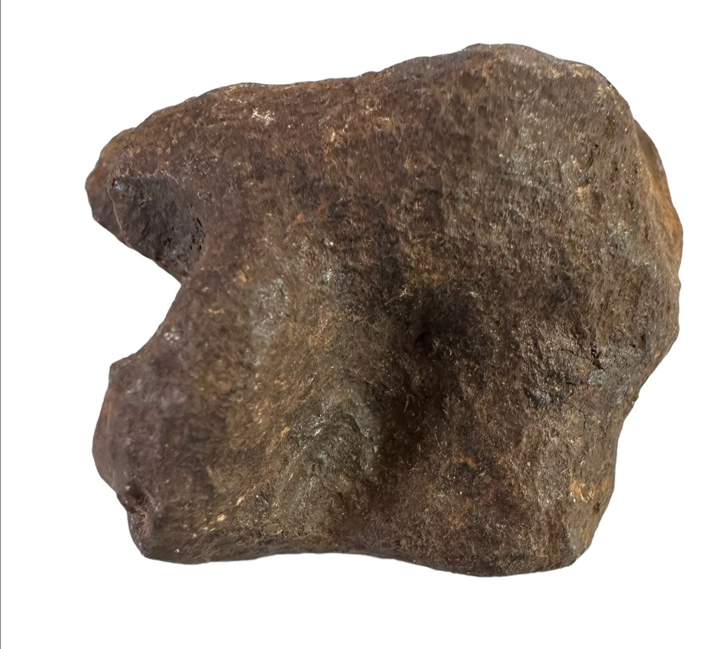 MUNDRABILLA IRON METEORITE with HOLE, VERY RARE, STONY IRON, AUSTRALIA MT64