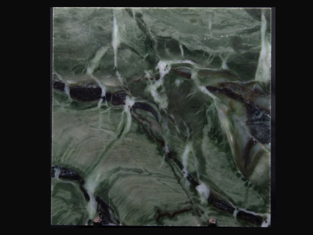 Precambrian Shorelines: The Stromatolitic Record of Baicalia capricornia