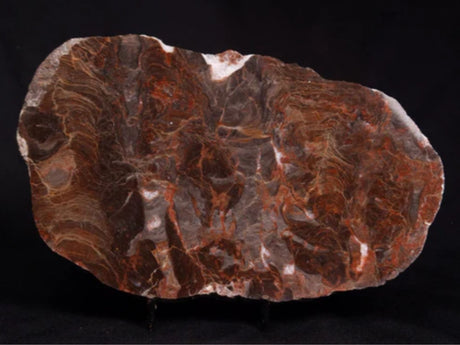 Stromatolite Fossil Record: Acaciella Australica
