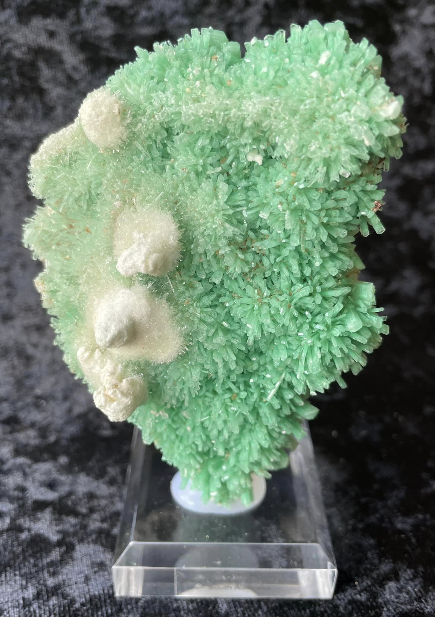 Glimmering Treasures: The Enchanting Selenite of Mount Gunson Copper Mine.