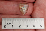 RAINBOW LATTICE SUNSTONE CABOCHON, Australia GLSC04