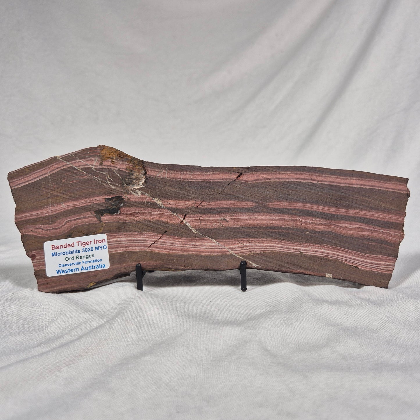 BANDED TIGER IRON MICROBIALITE, Archean, Australia ZBI004