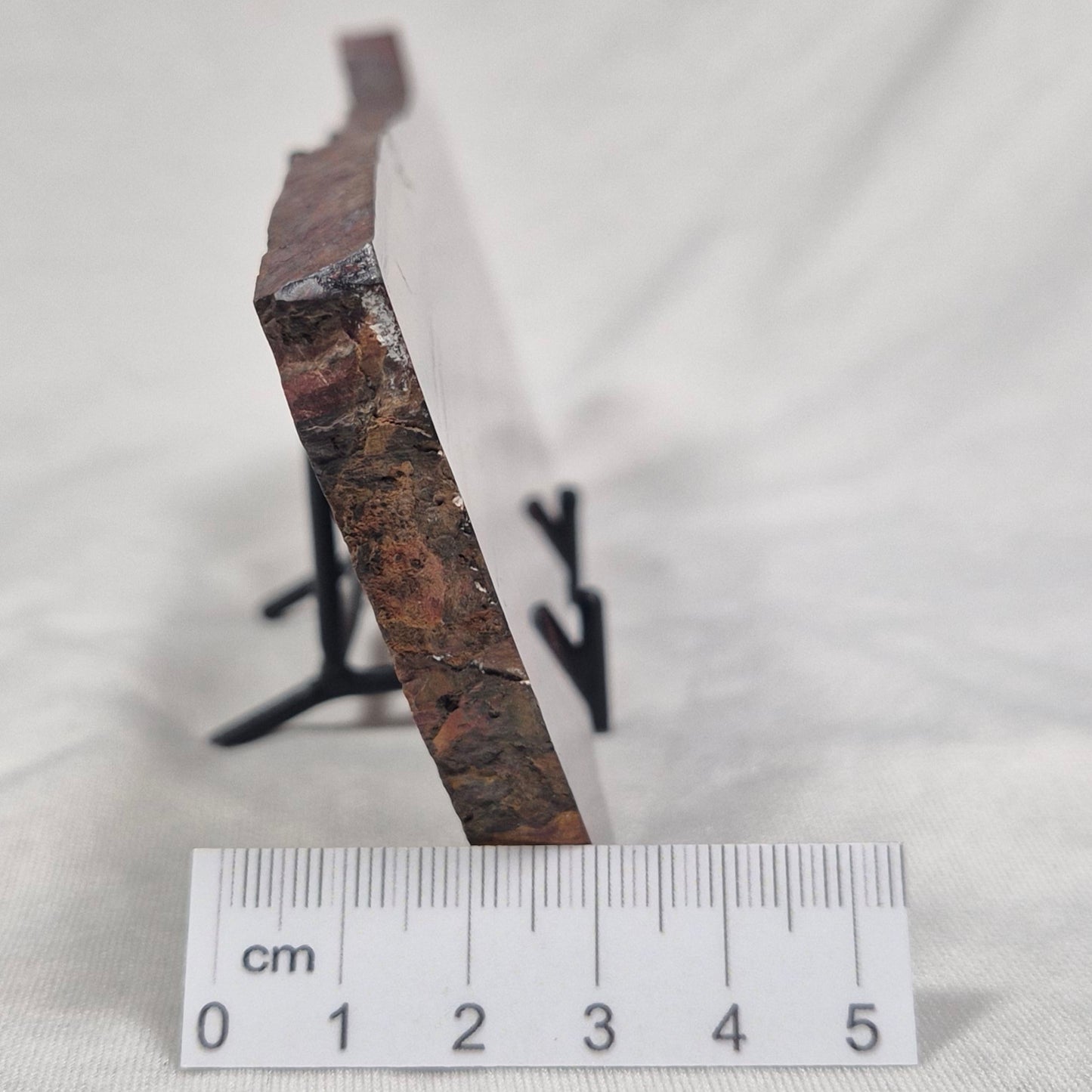BANDED TIGER IRON MICROBIALITE, Archean, Australia ZBI004