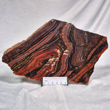 BANDED TIGER IRON MICROBIALITE, Archean, Australia ZBI006