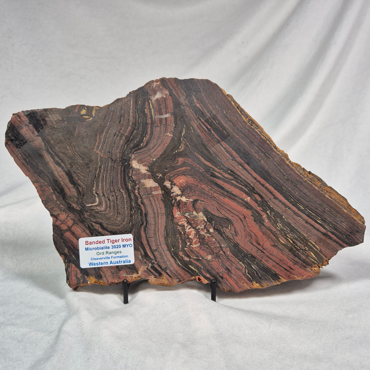 BANDED TIGER IRON MICROBIALITE, Archean, Australia ZBI006