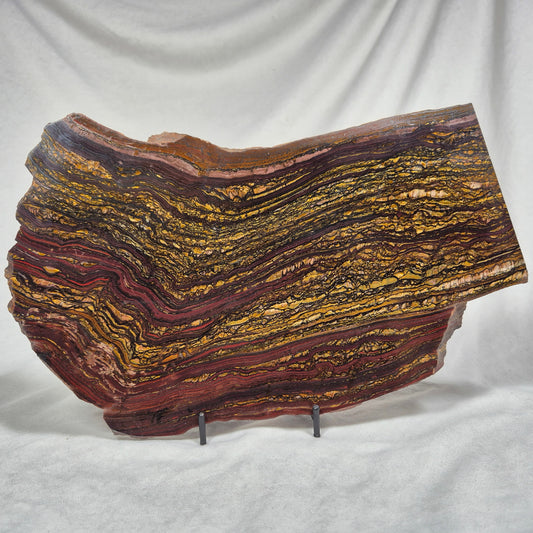 BANDED TIGER IRON MICROBIALITE, Archean, Australia ZBI008
