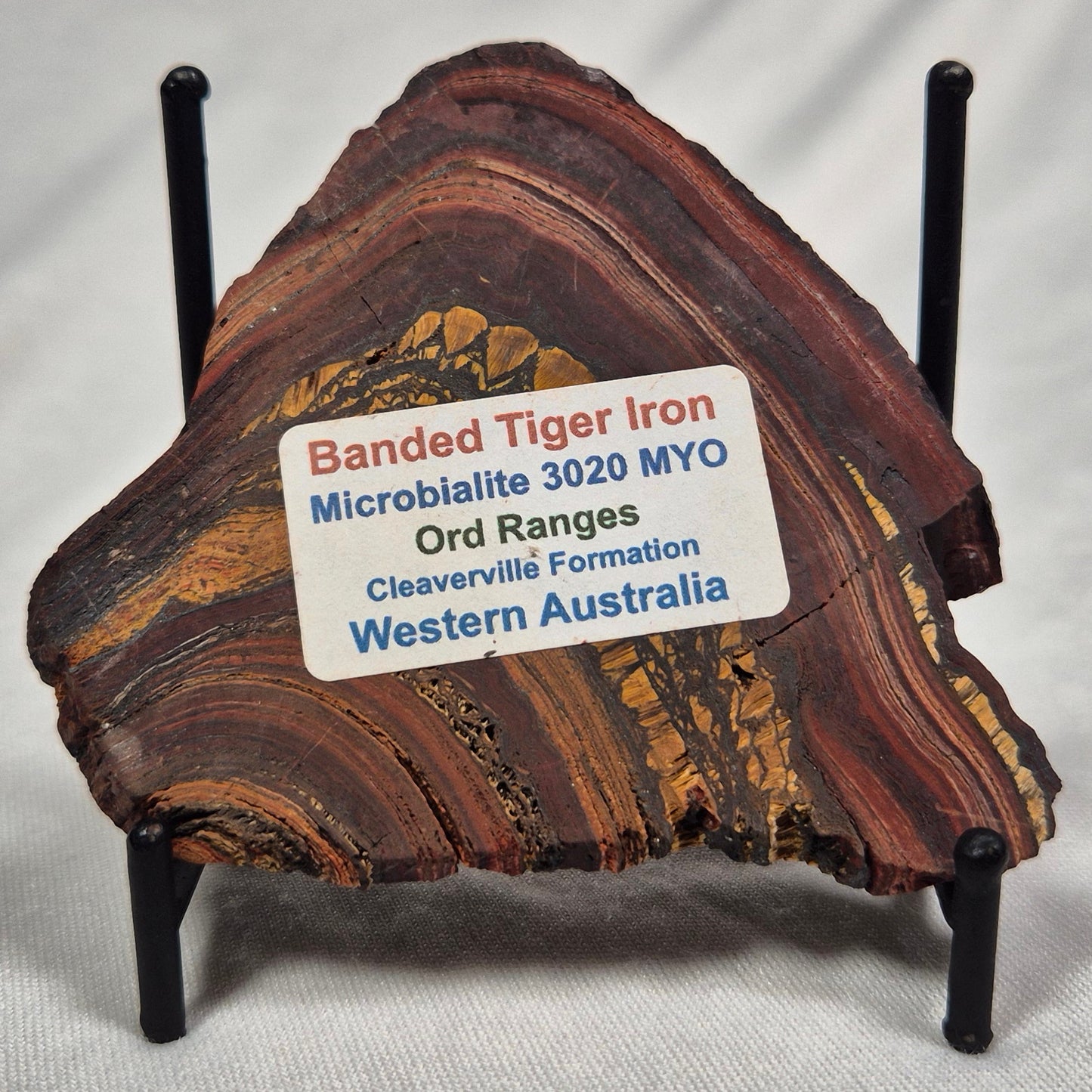 BANDED TIGER IRON MICROBIALITE, Archean, Australia ZBI009