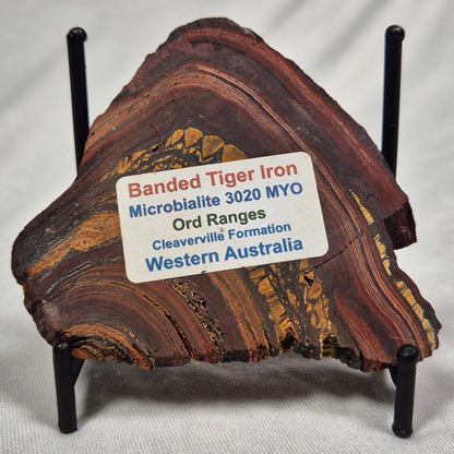 BANDED TIGER IRON MICROBIALITE, Archean, Australia ZBI009