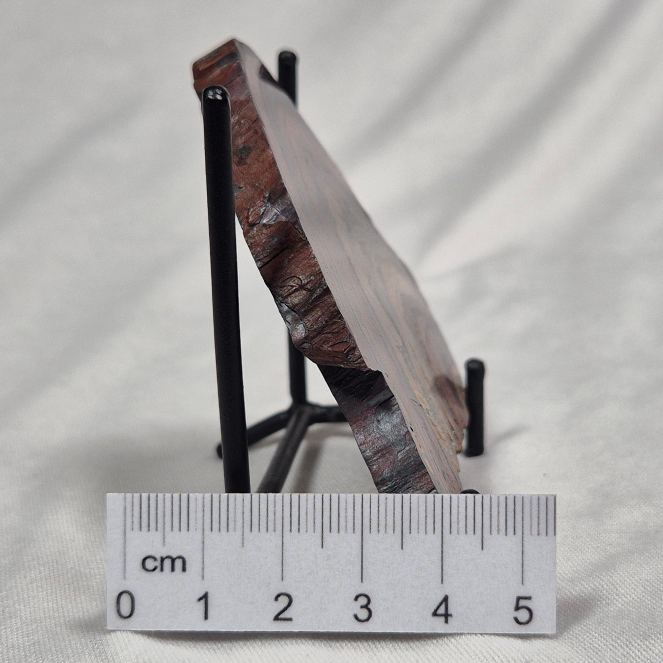 BANDED TIGER IRON MICROBIALITE, Archean, Australia ZBI009