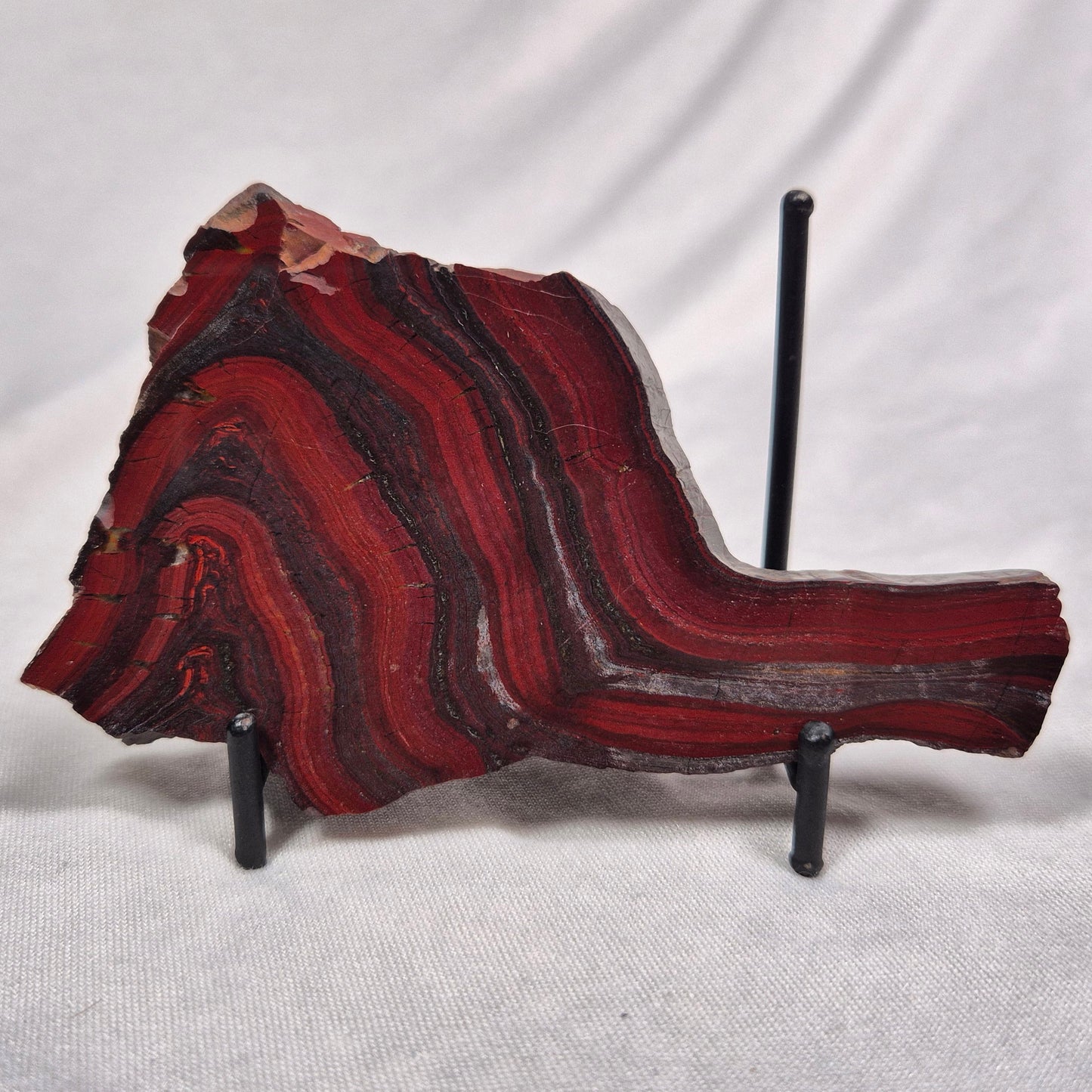 BANDED TIGER IRON MICROBIALITE, Archean, Australia ZBI010