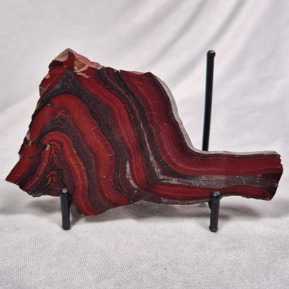 BANDED TIGER IRON MICROBIALITE, Archean, Australia ZBI010