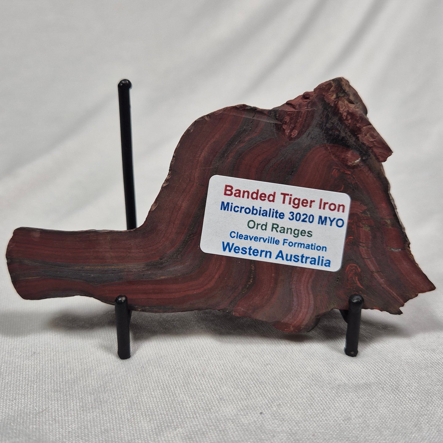 BANDED TIGER IRON MICROBIALITE, Archean, Australia ZBI010