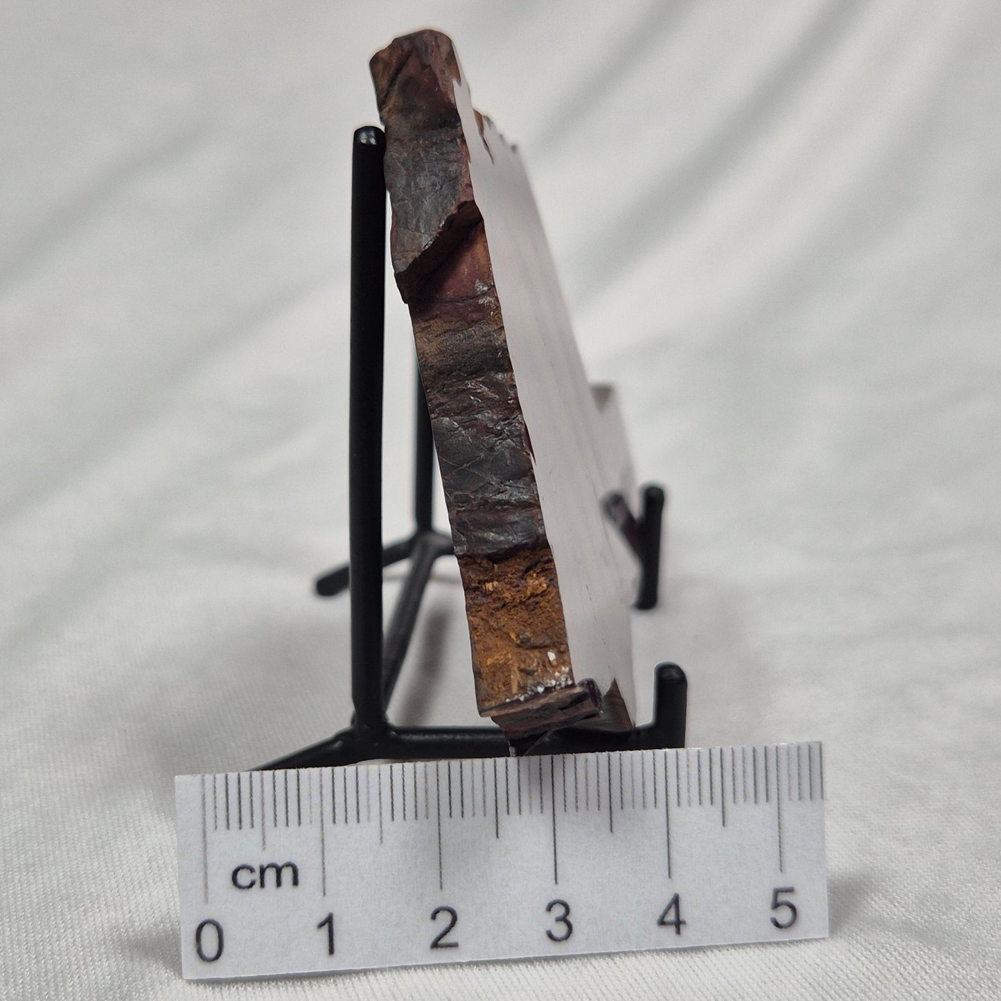 BANDED TIGER IRON MICROBIALITE, Archean, Australia ZBI010