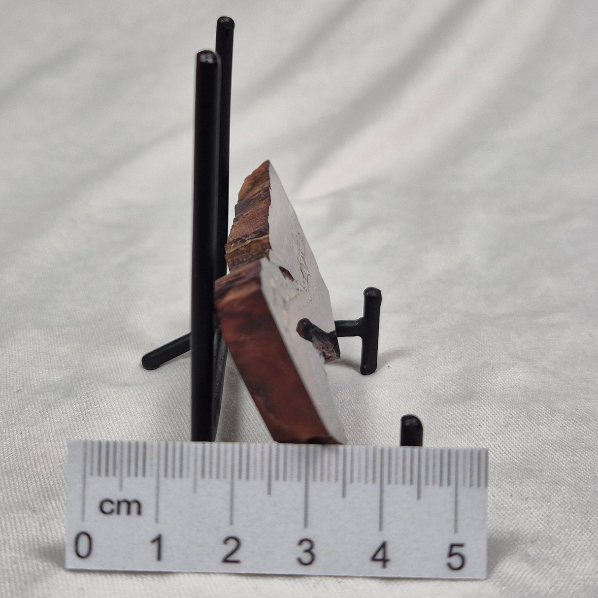 BANDED TIGER IRON MICROBIALITE, Archean, Australia ZBI011